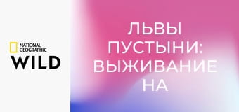 Львы пустыни: Выживание на Скелетном побережье