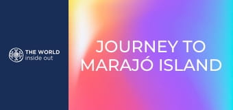 Journey to Marajó island and mangrove crab hunting. Brazil.