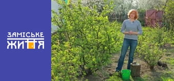 "Эко-дача" сезон 1 серия 14 "Эко-дача" сезон 1 серия 14