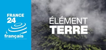 Elément Terre E14