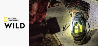 Змеи в городе S9E2 Змеи в городе S9E2