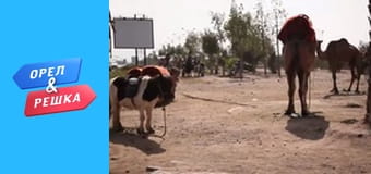 4 сезон 12 випуск - Марракеш