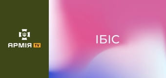 UAR-15: стійка, положення для стрільби, перекладка. Розповідає інструктор "Ібіс". Частина 3 || Хартія НГУ.