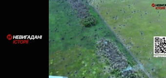 Невигадані історії.