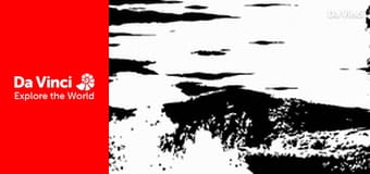 Cubs - Iberian-Lynxes Cubs - Iberian-Lynxes