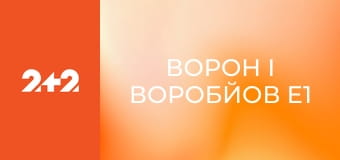 Ворон і Воробйов E1