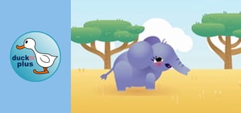 Home Sweet Home - Elephant