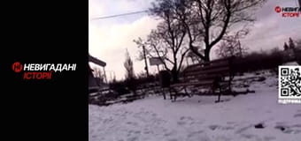 Невигадані історії.