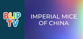 Imperial Mice of China