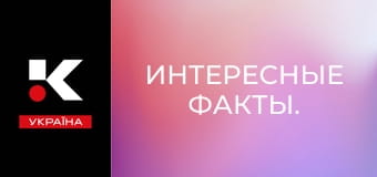 Интересные факты.