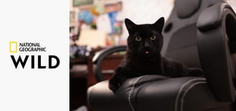 Невероятный доктор Пол S21E8