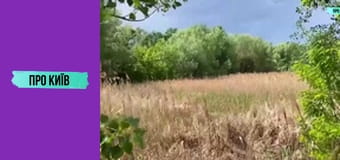 Околиці Дарницького вокзалу.