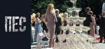 Dog, Season 6, Episode 9 Dog, Season 6, Episode 9