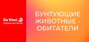 Бунтующие животные - Обитатели сыра