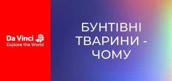 Бунтівні тварини - Чому цикади не люблять ос