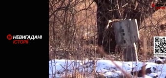 Невигадані історії. Катюжанка.