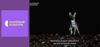 Д/с "Суперздібності тварин". "Слух".