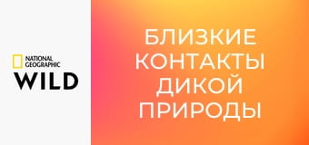 Близкие контакты дикой природы S1E6
