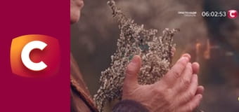 "Сліпа". Сестра проти коханого.