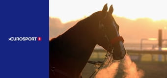 Echitaţie Echitaţie