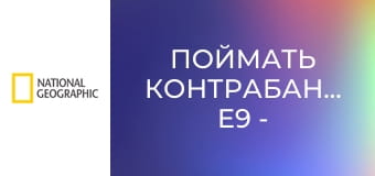 Поймать контрабандиста E9 - Крупный улов