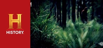 Доказательство где-то рядом, 4 сезон, 1 эп. Дело о бигфуте.