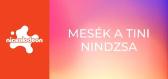 Mesék a tini nindzsa teknőcökről S1E5 - Bishop lépése