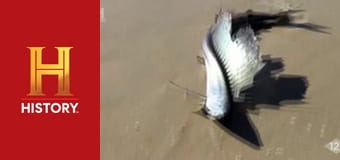 Доказательство где-то рядом, 3 сезон, 9 эп. НЛО в Панаме, кровавое море и гибель тургруппы Дятлова.