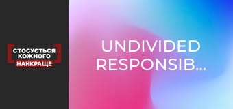 Undivided responsibility