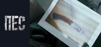 Dog, Season 6, Episode 33 Dog, Season 6, Episode 33