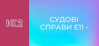 Судові справи E11 - Свідок Стамова