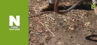 Aussie Snake Wranglers - Duck on the Menu