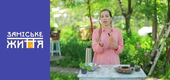 "Эко-дача" сезон 1 серия 19 "Эко-дача" сезон 1 серия 19