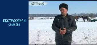 Подсолнечник. Часть 1