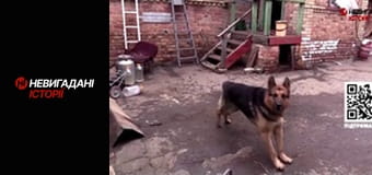 Невигадані історії. Бахмут. Волонтери. Невигадані історії. Бахмут. Волонтери.