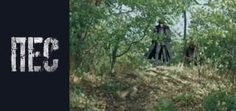 Dog, Season 6, Episode 6