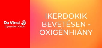Ikerdokik bevetésen - Oxigénhiány és sürgősségi ellátás Ikerdokik bevetésen - Oxigénhiány és sürgősségi ellátás