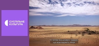 Д/с "Суперспособности животных". "Шестое чувство".