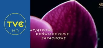 Z lokalnego archiwum Z lokalnego archiwum
