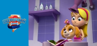 Щенячий патруль. Сезон 1 – серія 1