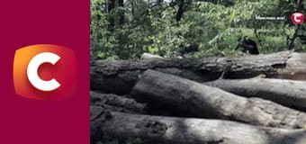 "История одного преступления", 7 сезон, 48 эп. "Культ зверя".