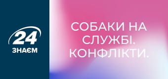Собаки на службі. Конфлікти.