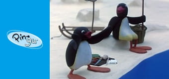 Pingu Sezon 3 Odcinek 10 Pingu Sezon 3 Odcinek 10