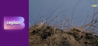 "Виклик", 1 сезон, 38 еп.