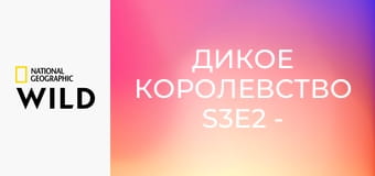 Дикое королевство S3E2 - Эпоха террора