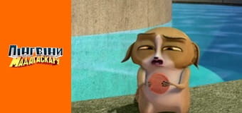 Сезон 2- Серія 8