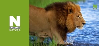 Бескрайняя Африка - Долина Луангвы