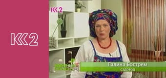 Удачний проект S1E13