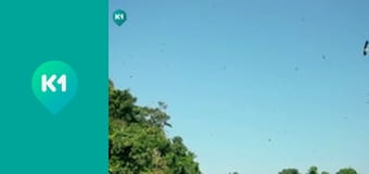 "Орел і Решка. Дайджест".