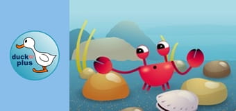 Home Sweet Home - Crab